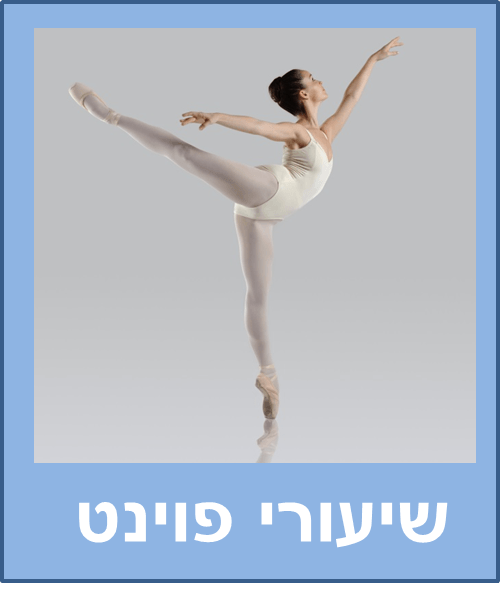 שיעורי פוינט